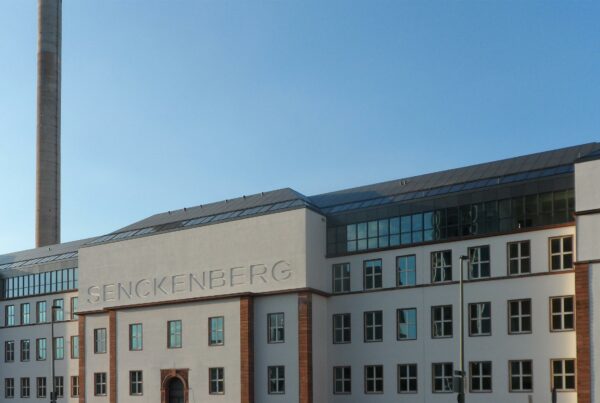 Frankfurt Senckenberg Dachklappfenster TopSwing